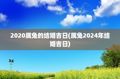 2020属兔的结婚吉日(属兔2024年结婚吉日)第1张-八字查询