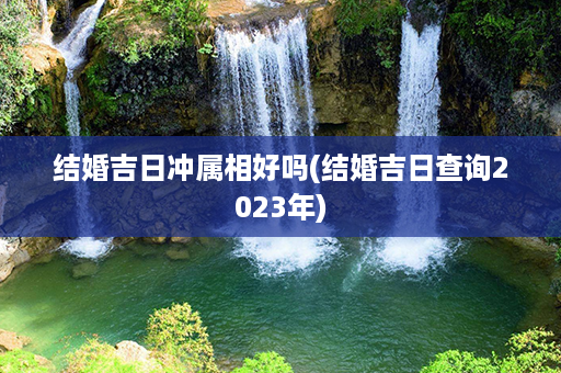 结婚吉日冲属相好吗(结婚吉日查询2023年)第1张-八字查询