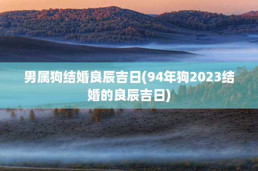 男属狗结婚良辰吉日(94年狗2023结婚的良辰吉日)第1张-八字查询