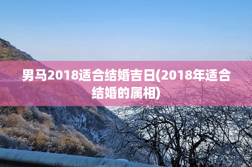 男马2018适合结婚吉日(2018年适合结婚的属相)第1张-八字查询