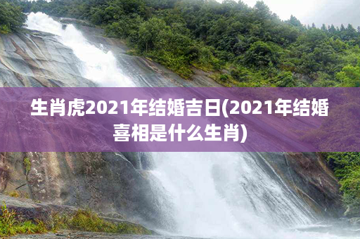 生肖虎2021年结婚吉日(2021年结婚喜相是什么生肖)第1张-八字查询