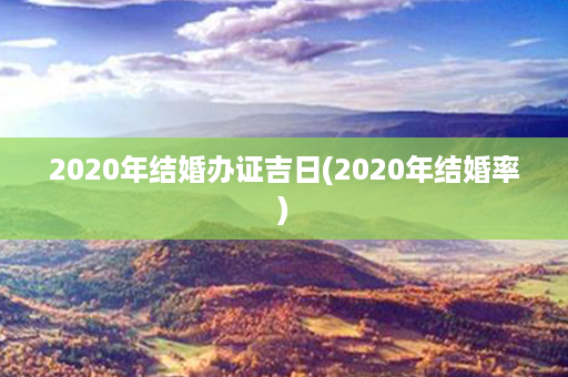 2020年结婚办证吉日(2020年结婚率)第1张-八字查询