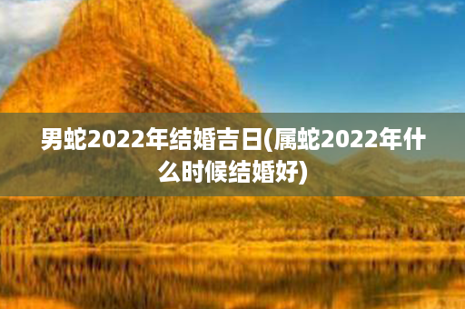 男蛇2022年结婚吉日(属蛇2022年什么时候结婚好)第1张-八字查询