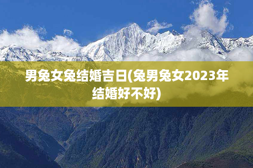 男兔女兔结婚吉日(兔男兔女2023年结婚好不好)第1张-八字查询