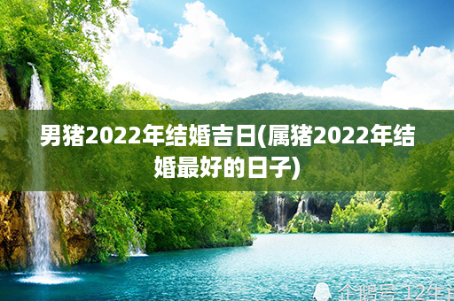 男猪2022年结婚吉日(属猪2022年结婚最好的日子)第1张-八字查询