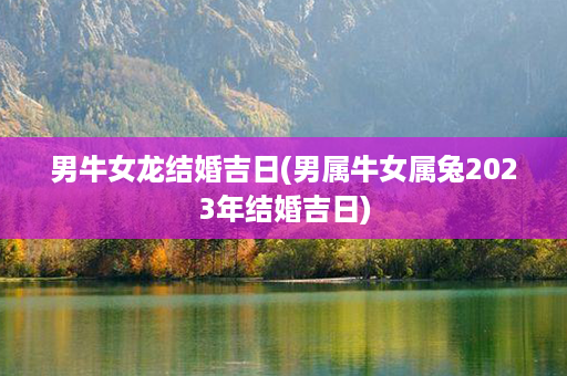 男牛女龙结婚吉日(男属牛女属兔2023年结婚吉日)第1张-八字查询