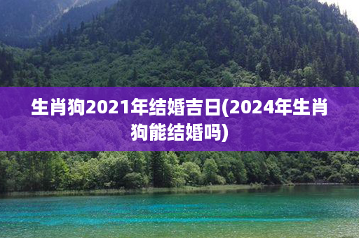 生肖狗2021年结婚吉日(2024年生肖狗能结婚吗)第1张-八字查询