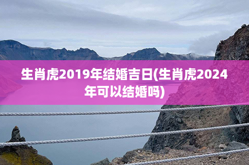 生肖虎2019年结婚吉日(生肖虎2024年可以结婚吗)第1张-八字查询