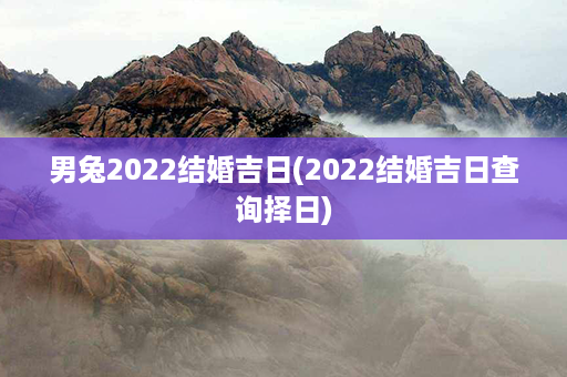 男兔2022结婚吉日(2022结婚吉日查询择日)第1张-八字查询