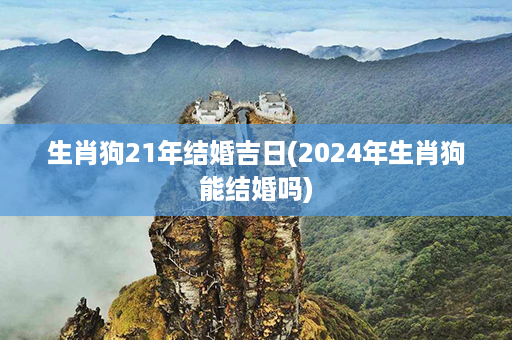 生肖狗21年结婚吉日(2024年生肖狗能结婚吗)第1张-八字查询