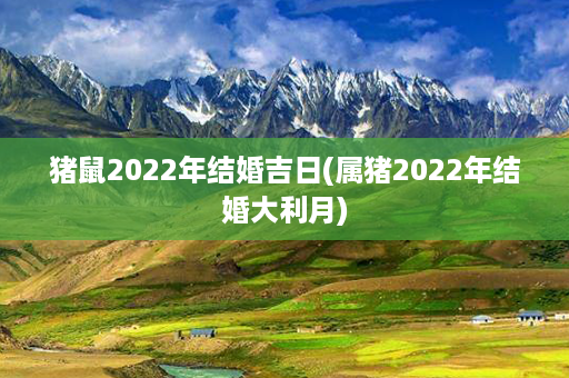 猪鼠2022年结婚吉日(属猪2022年结婚大利月)第1张-八字查询