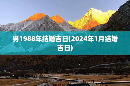 男1988年结婚吉日(2024年1月结婚吉日)第1张-八字查询