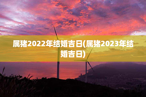 属猪2022年结婚吉日(属猪2023年结婚吉日)第1张-八字查询