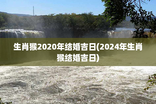 生肖猴2020年结婚吉日(2024年生肖猴结婚吉日)第1张-八字查询