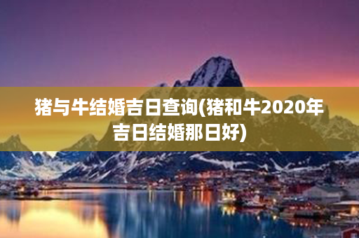 猪与牛结婚吉日查询(猪和牛2020年吉日结婚那日好)第1张-八字查询