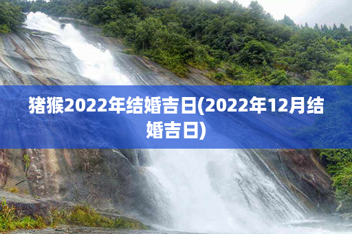 猪猴2022年结婚吉日(2022年12月结婚吉日)第1张-八字查询