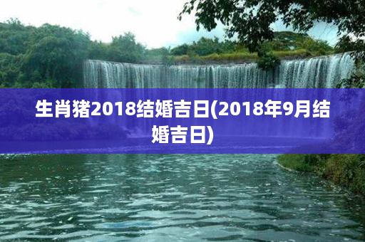 生肖猪2018结婚吉日(2018年9月结婚吉日)第1张-八字查询