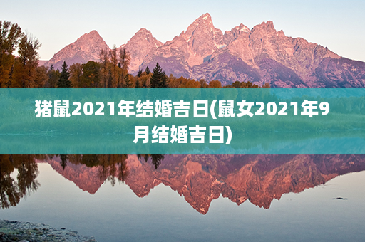 猪鼠2021年结婚吉日(鼠女2021年9月结婚吉日)第1张-八字查询