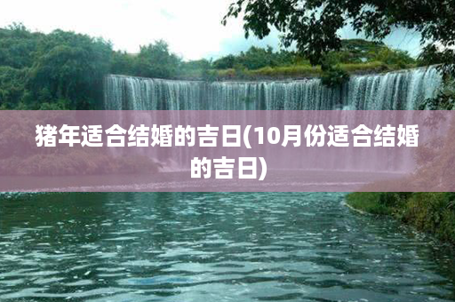 猪年适合结婚的吉日(10月份适合结婚的吉日)第1张-八字查询