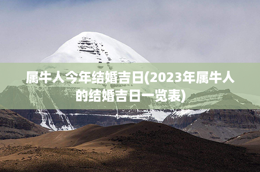 属牛人今年结婚吉日(2023年属牛人的结婚吉日一览表)第1张-八字查询