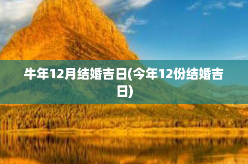 牛年12月结婚吉日(今年12份结婚吉日)第1张-八字查询