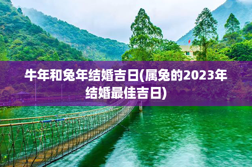 牛年和兔年结婚吉日(属兔的2023年结婚最佳吉日)第1张-八字查询