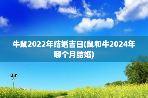 牛鼠2022年结婚吉日(鼠和牛2024年哪个月结婚)第1张-八字查询