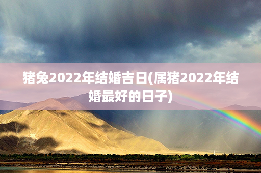 猪兔2022年结婚吉日(属猪2022年结婚最好的日子)第1张-八字查询