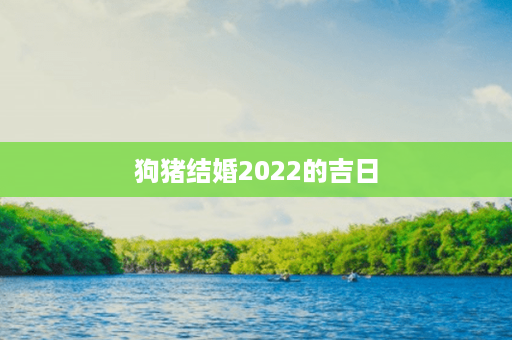 狗猪结婚2022的吉日第1张-八字查询