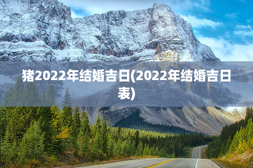 猪2022年结婚吉日(2022年结婚吉日表)第1张-八字查询