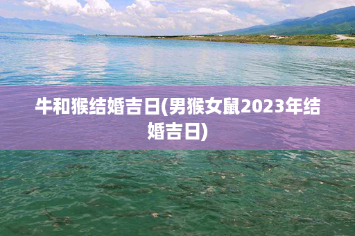 牛和猴结婚吉日(男猴女鼠2023年结婚吉日)第1张-八字查询