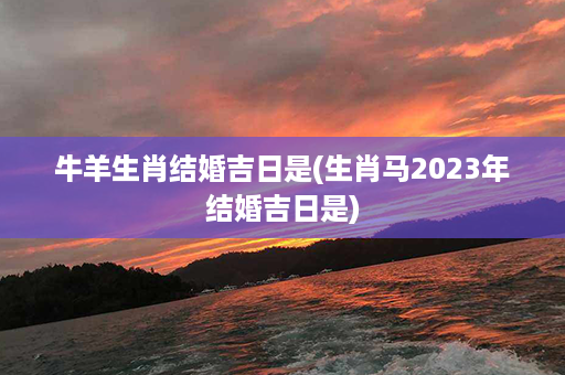 牛羊生肖结婚吉日是(生肖马2023年结婚吉日是)第1张-八字查询