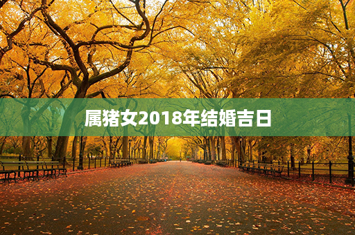 属猪女2018年结婚吉日第1张-八字查询