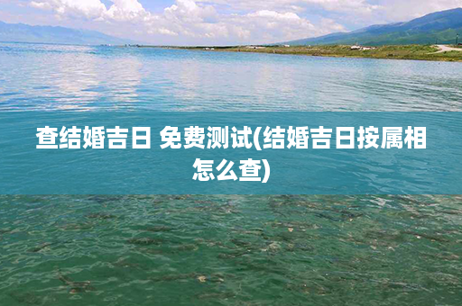 查结婚吉日 免费测试(结婚吉日按属相怎么查)第1张-八字查询