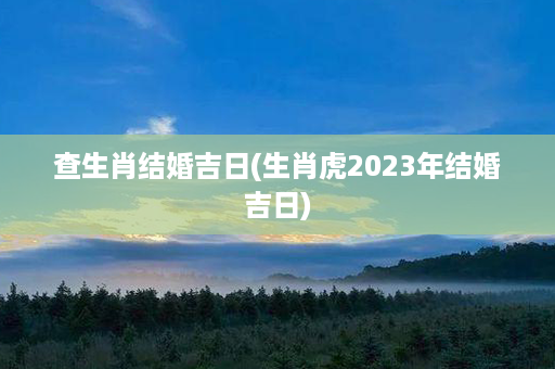 查生肖结婚吉日(生肖虎2023年结婚吉日)第1张-八字查询