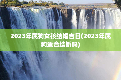 2023年属狗女孩结婚吉日(2023年属狗适合结婚吗)第1张-八字查询