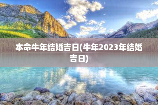 本命牛年结婚吉日(牛年2023年结婚吉日)第1张-八字查询