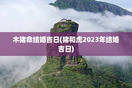 木猪命结婚吉日(猪和虎2023年结婚吉日)第1张-八字查询