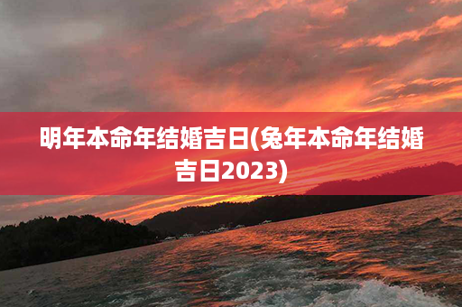 明年本命年结婚吉日(兔年本命年结婚吉日2023)第1张-八字查询