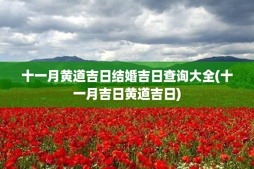 十一月黄道吉日结婚吉日查询大全(十一月吉日黄道吉日)第1张-八字查询