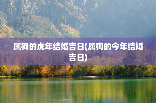 属狗的虎年结婚吉日(属狗的今年结婚吉日)第1张-八字查询