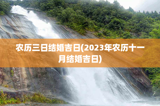 农历三日结婚吉日(2023年农历十一月结婚吉日)第1张-八字查询