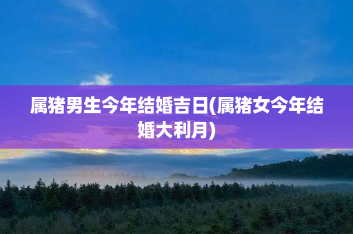 属猪男生今年结婚吉日(属猪女今年结婚大利月)第1张-八字查询