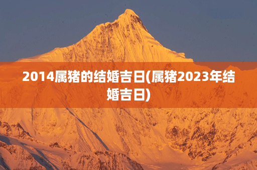 2014属猪的结婚吉日(属猪2023年结婚吉日)第1张-八字查询