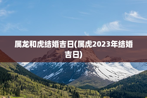 属龙和虎结婚吉日(属虎2023年结婚吉日)第1张-八字查询