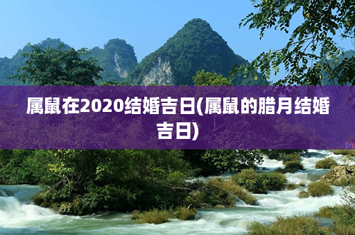 属鼠在2020结婚吉日(属鼠的腊月结婚吉日)第1张-八字查询