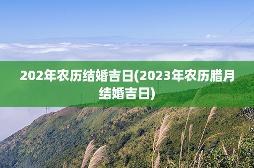 202年农历结婚吉日(2023年农历腊月结婚吉日)第1张-八字查询