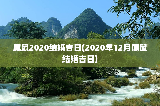 属鼠2020结婚吉日(2020年12月属鼠结婚吉日)第1张-八字查询