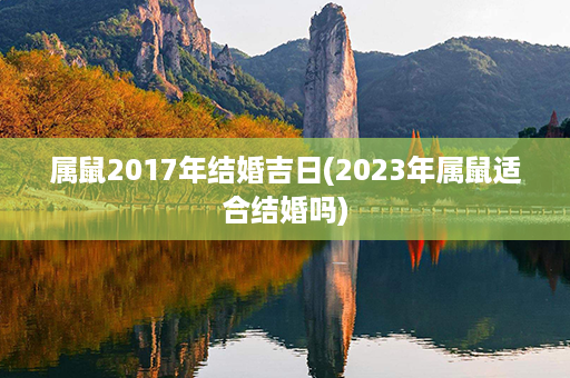 属鼠2017年结婚吉日(2023年属鼠适合结婚吗)第1张-八字查询