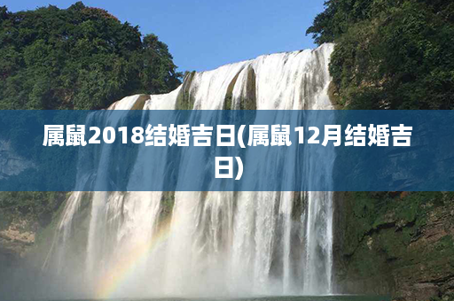 属鼠2018结婚吉日(属鼠12月结婚吉日)第1张-八字查询